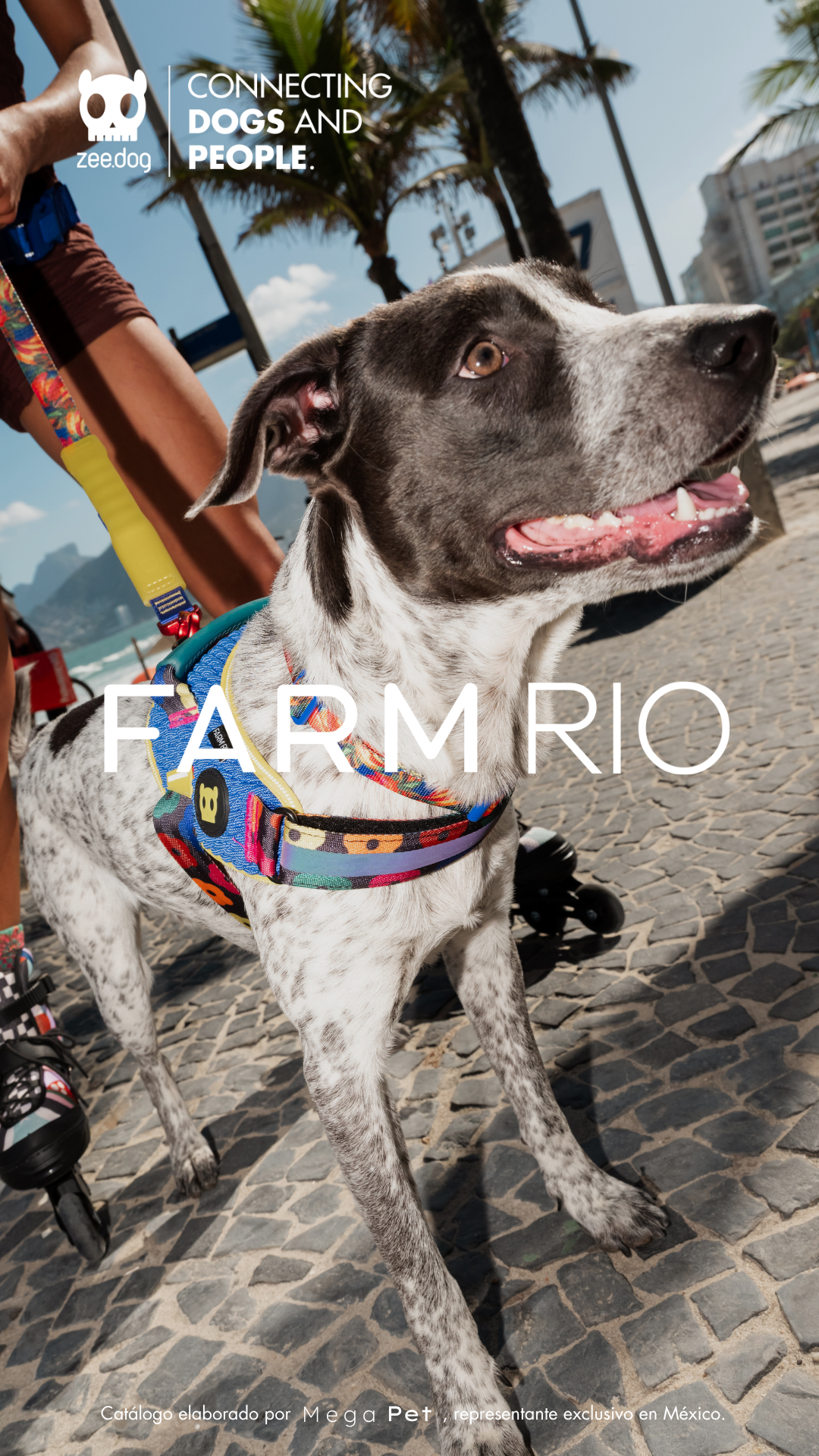 Catálogo Farm Rio x Zee.Dog