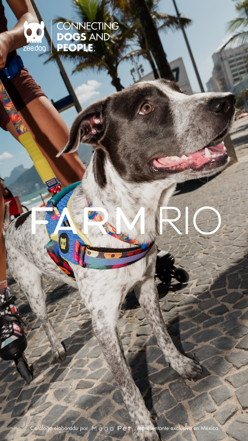 Catálogo Farm Rio x Zee.Dog