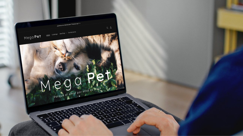 E-commerce B2B Shopify